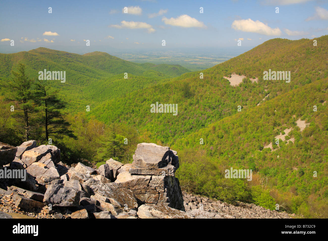 Blick vom Appalachian Trail, Schwarzfels, Shenandoah-Nationalpark, Virginia, USA Stockfoto