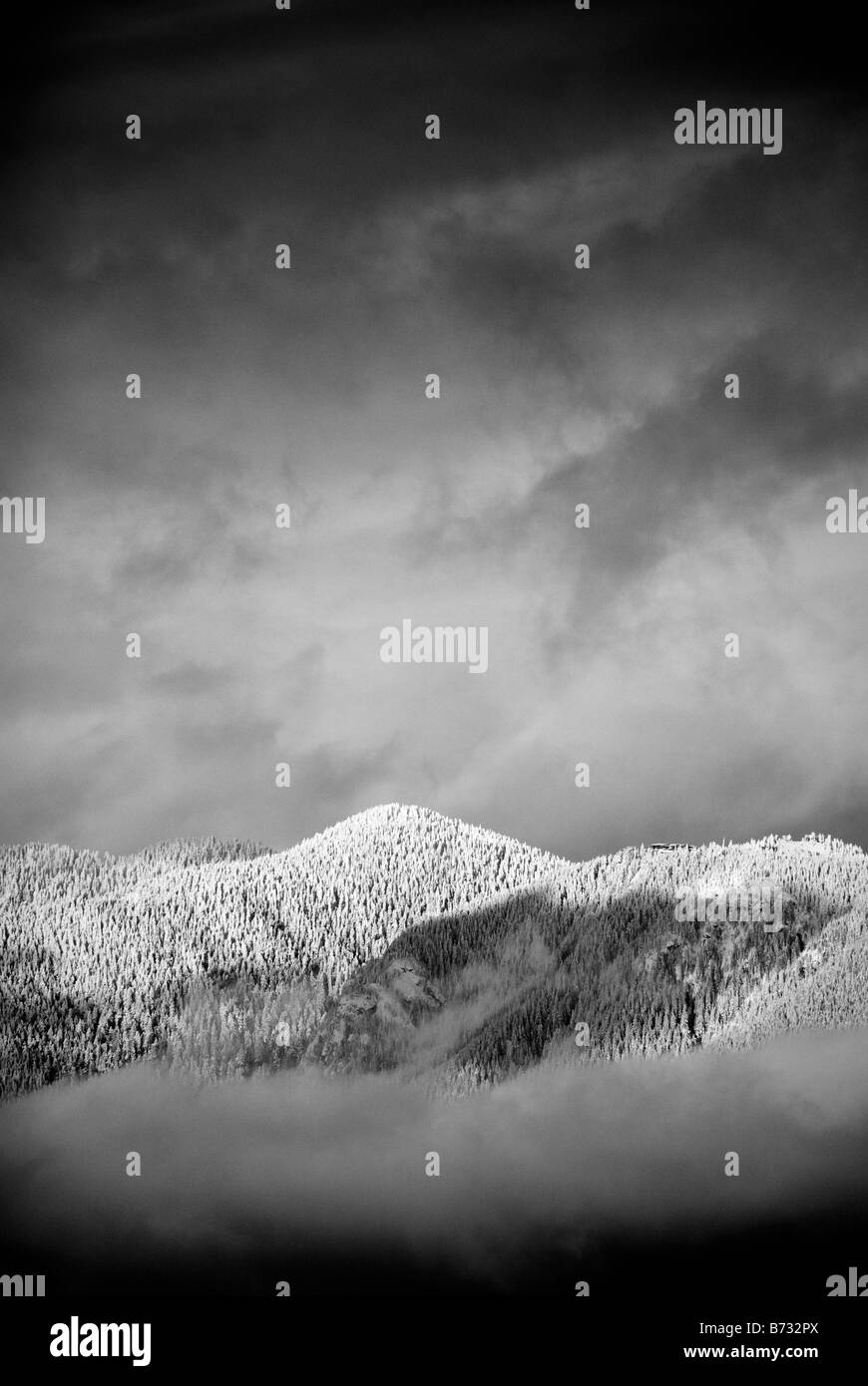 Vancouver schneebedeckte Berge über flauschigen Wolken schweben.  Schwarz / weiß Kontrast Winter Bergszene. Stockfoto