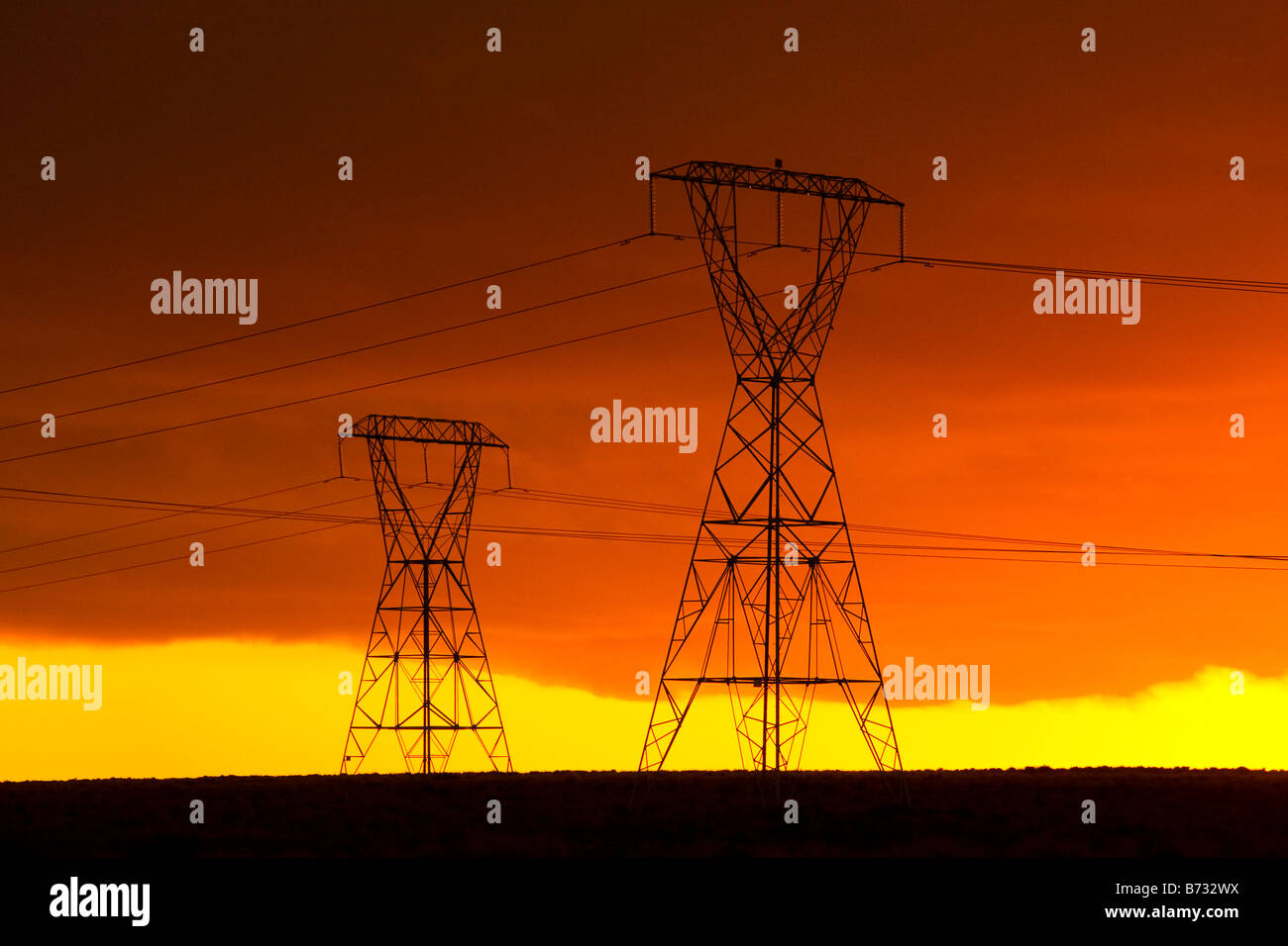 Strommasten und Stromleitungen bei Sonnenuntergang. Neuseeland, Nordinsel, Mittelland, Desert Road. Stockfoto