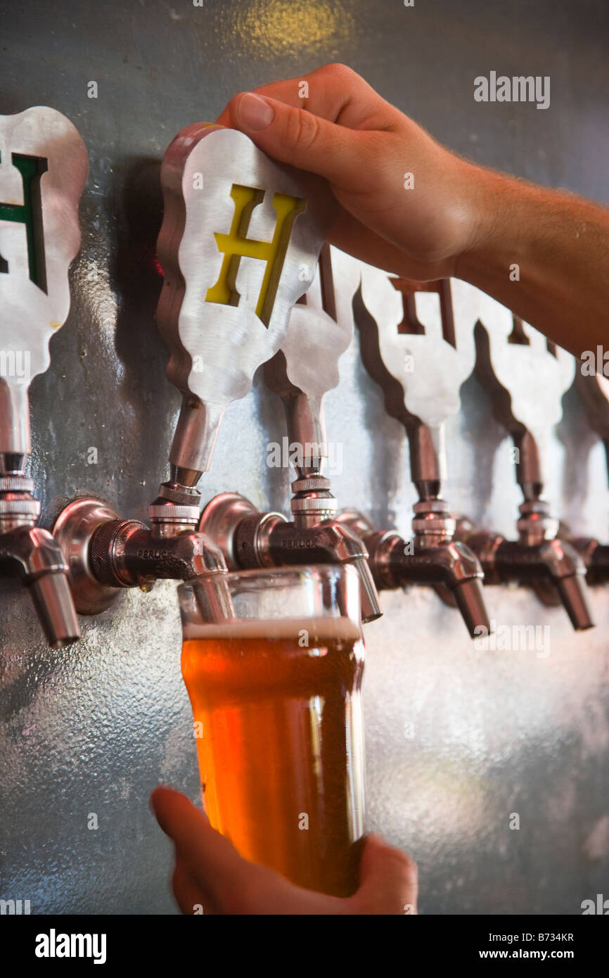 Barkeeper schüttet ein Bier Hollister Brewing Company Goleta California Vereinigte Staaten von Amerika Stockfoto