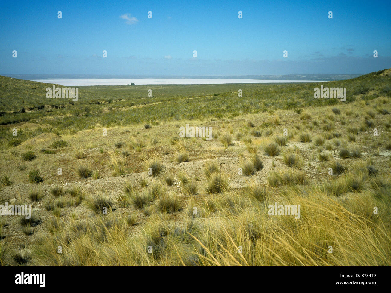 Salzsee bei Halbinsel Valdez, Patagonien, Argentinien Stockfoto