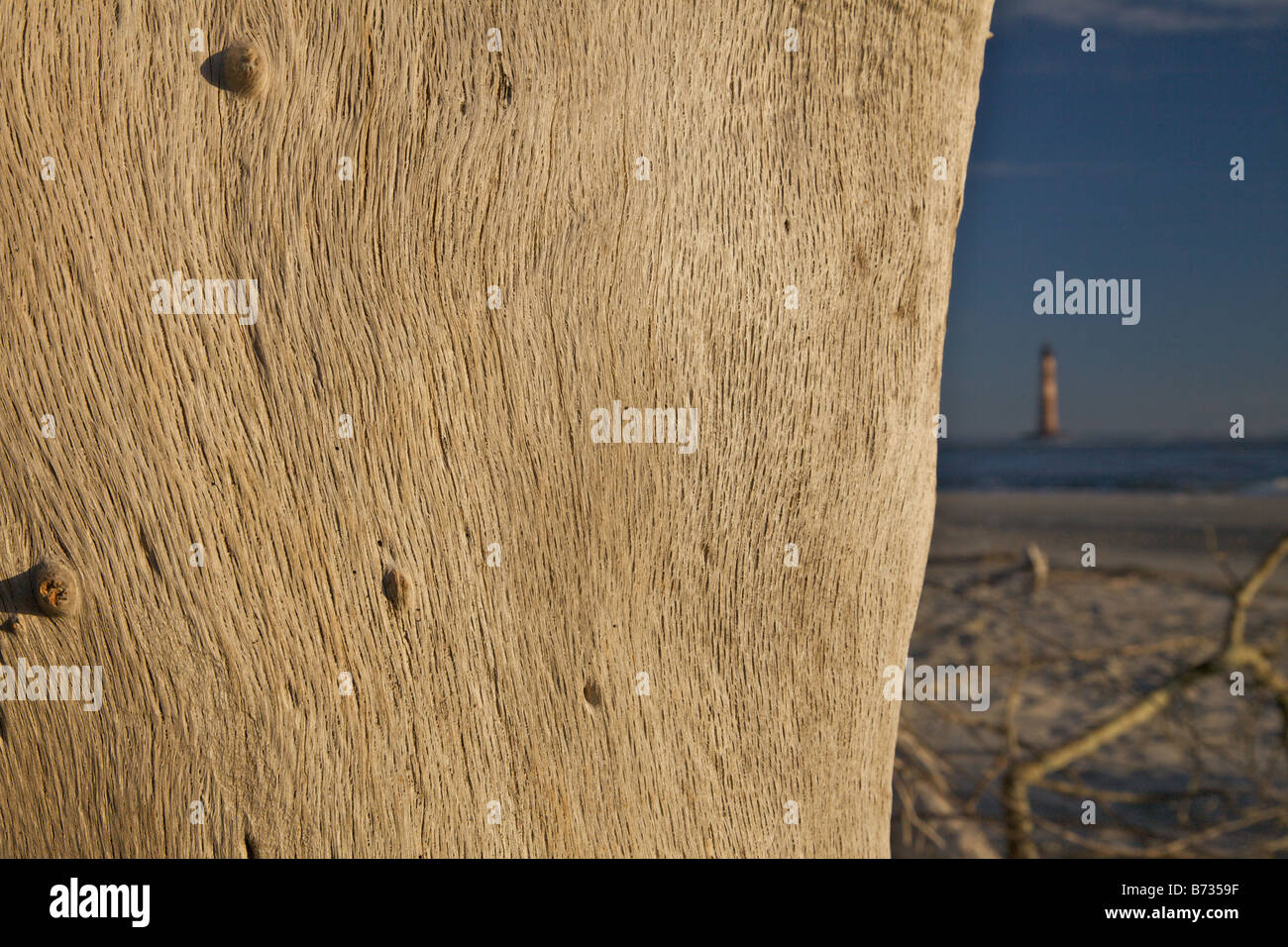 Sonnenaufgang über dem Folly Beach anzeigen Morris Leuchtturm durch Treibholz in der Nähe von Charleston SC Morris Lighthouse stammt aus dem Jahre 1767 Stockfoto