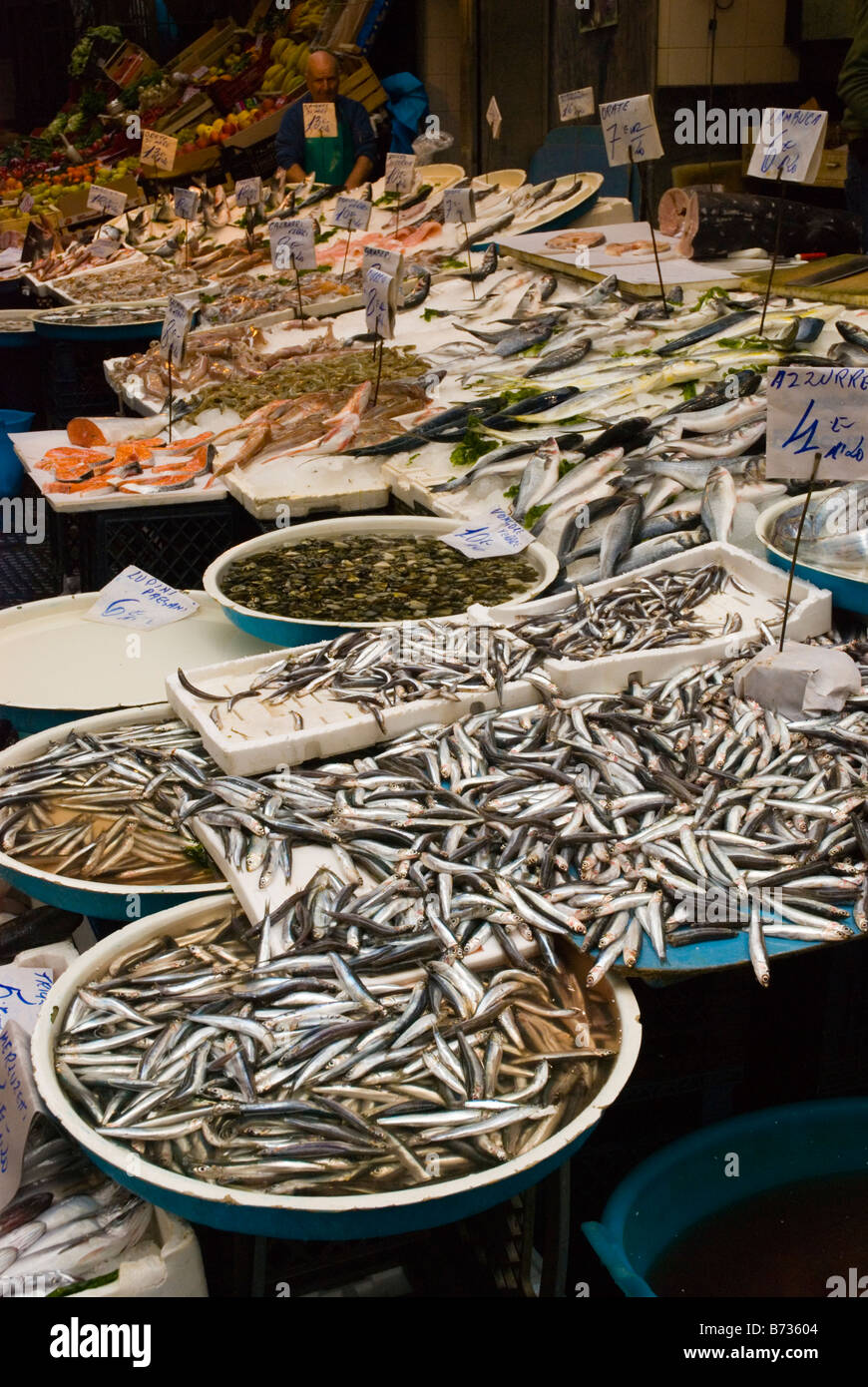 Meeresfrüchte-Shop bei La Pignasecca Markt in Mitteleuropa Neapel Italien Stockfoto