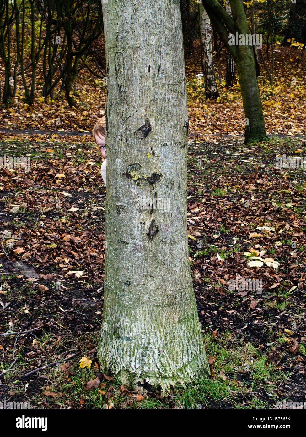 Kleiner Junge peeping Out hinter Baumstamm Stockfoto