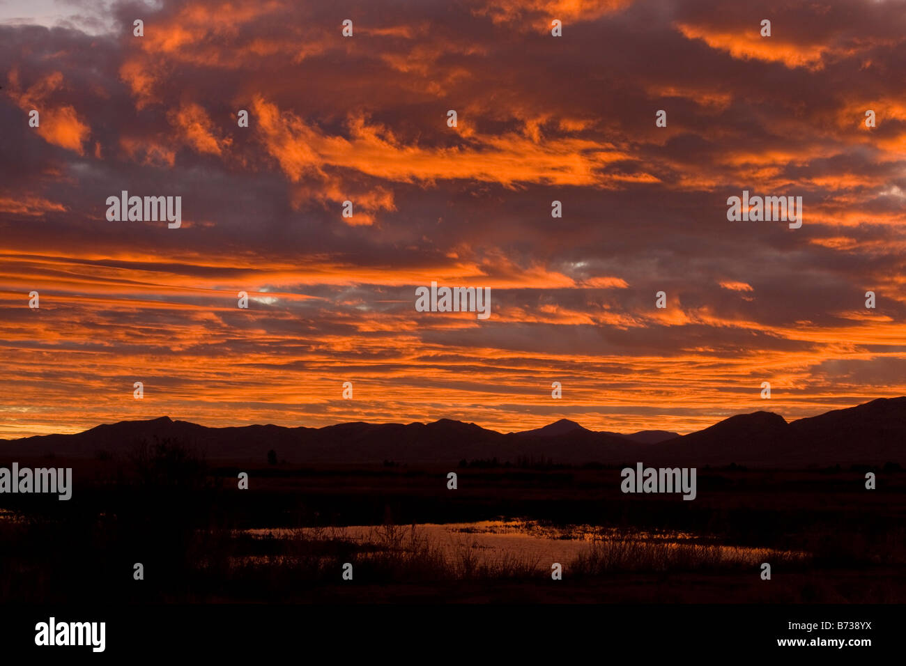 Whitewater zeichnen Wildlife Area bekannt Sandhill Kran Schlafplatz Ort beim Sonnenuntergang südöstlichen Arizona USA Stockfoto