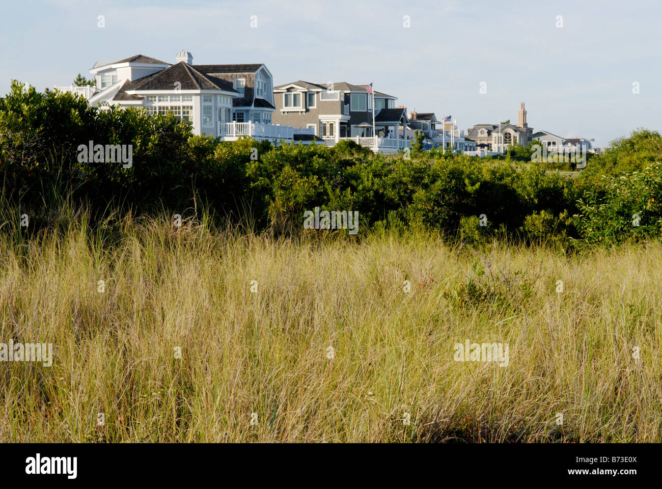 Oceanside gehobenen Häuser, Avalon, New Jersey. Ein Puffer von Düne Gräser schützt die Küste vor Erosion. Stockfoto