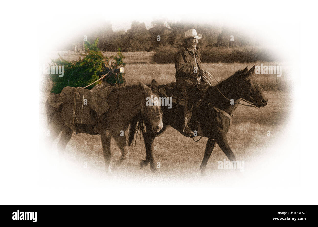 Sepia getönten Cowboy der Weihnachtsbaum nach Hause zu bringen, im westlichen Stil Farbe Stockfoto