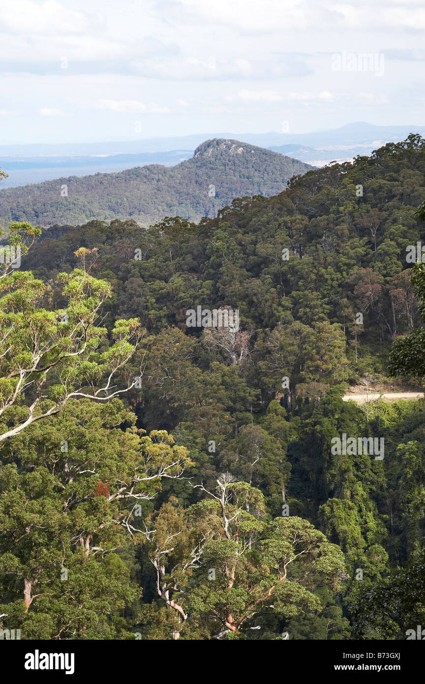 Blick vom Comboyne Straße zwischen Comboyne und Wingham New South Wales Australien Stockfoto