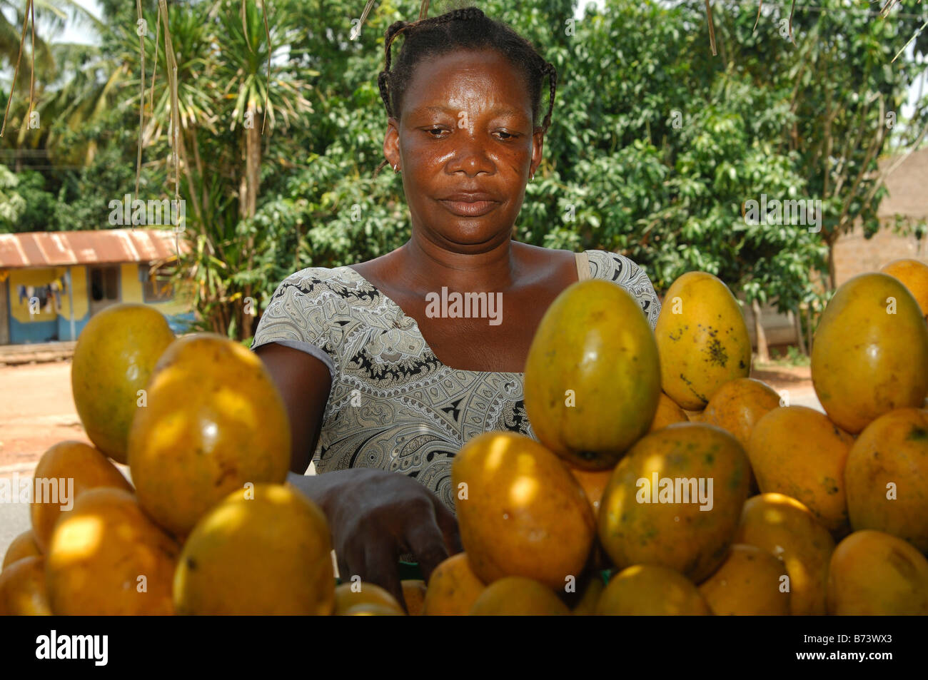 Weibliche Mango Verkäufer, Somenya, Eastern Region, Ghana Stockfoto