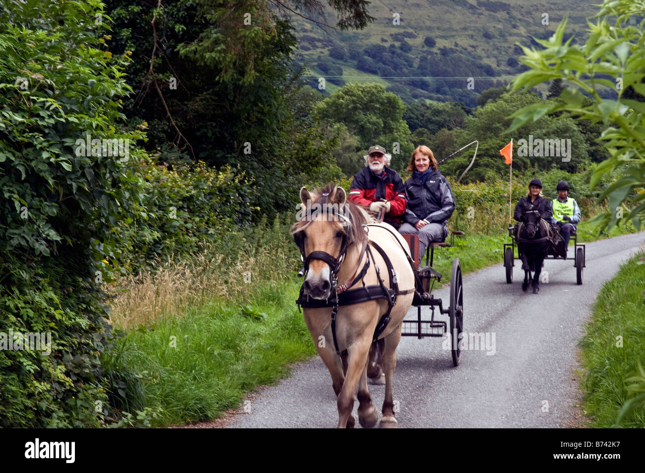 Pony und trap-Fahrer Dinas Mawddwy Gwynedd North Wales Stockfoto