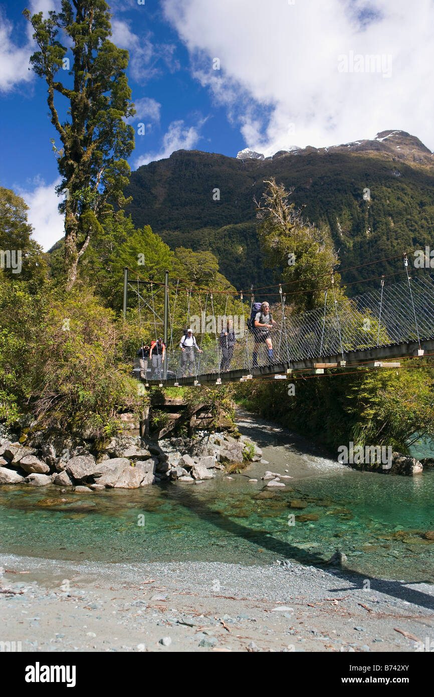 Neuseeland, Südinsel, Fiordland National Park, in der Nähe: Te Anau. Hollyford Track. Touristen auf Hängebrücke wandern. Stockfoto