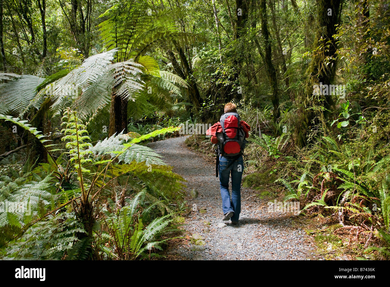 Neuseeland, Südinsel, Fiordland National Park, in der Nähe: Te Anau. Hollyford Track. Tourist wandern. Stockfoto