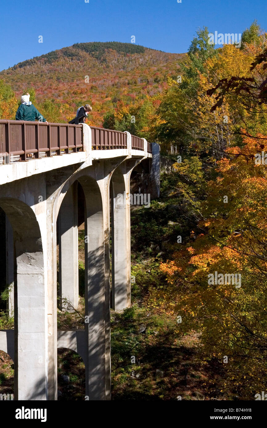 Menschen auf einer Brücke in Franconia Notch State Park New Hampshire Stockfoto
