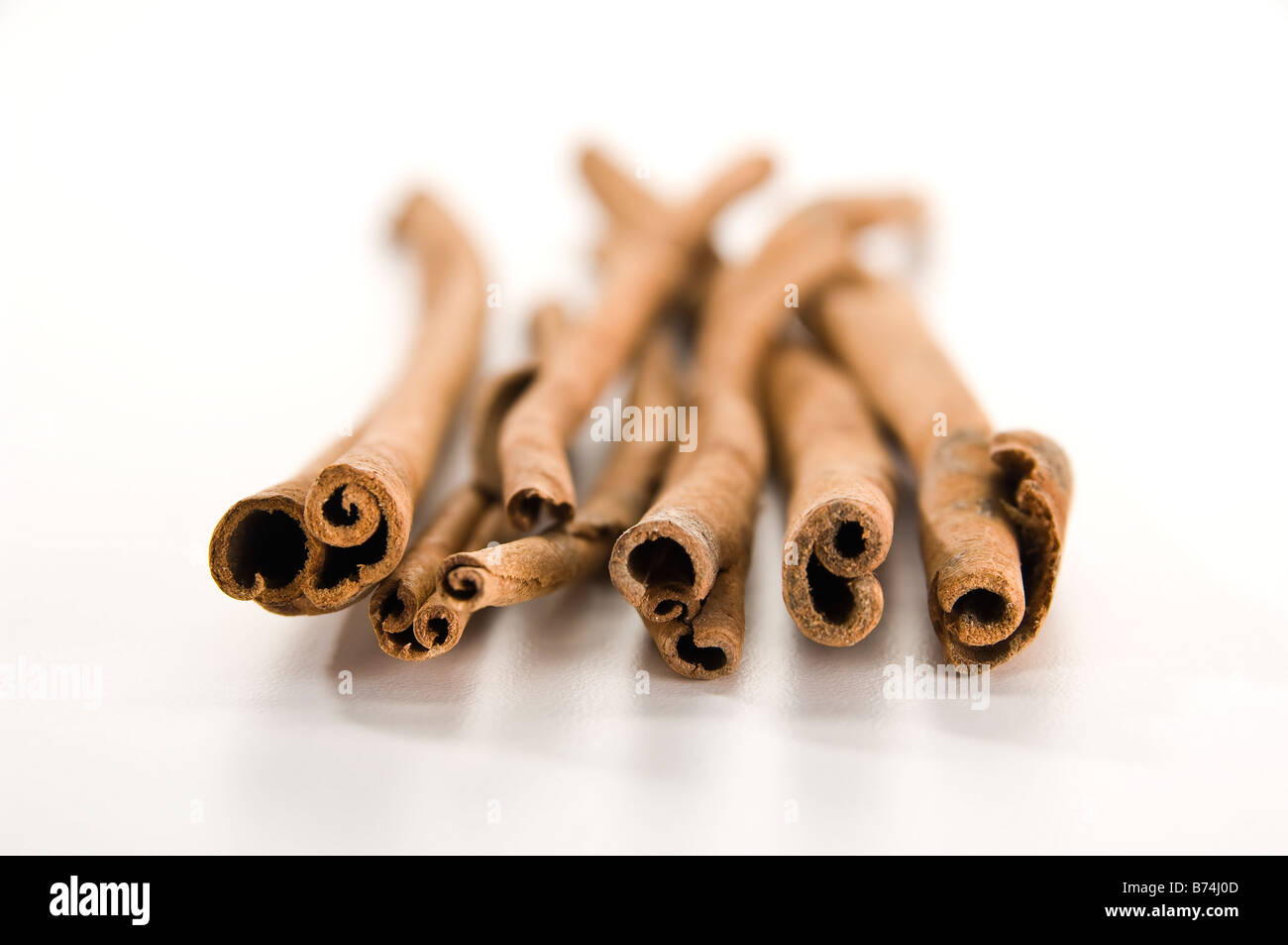 Extra lange Zimt-sticks. Am Ende erschossen. Anders als die billig-Sticks erhalten Sie, handelt es sich viel länger und mehr natürlich aussehende. Stockfoto