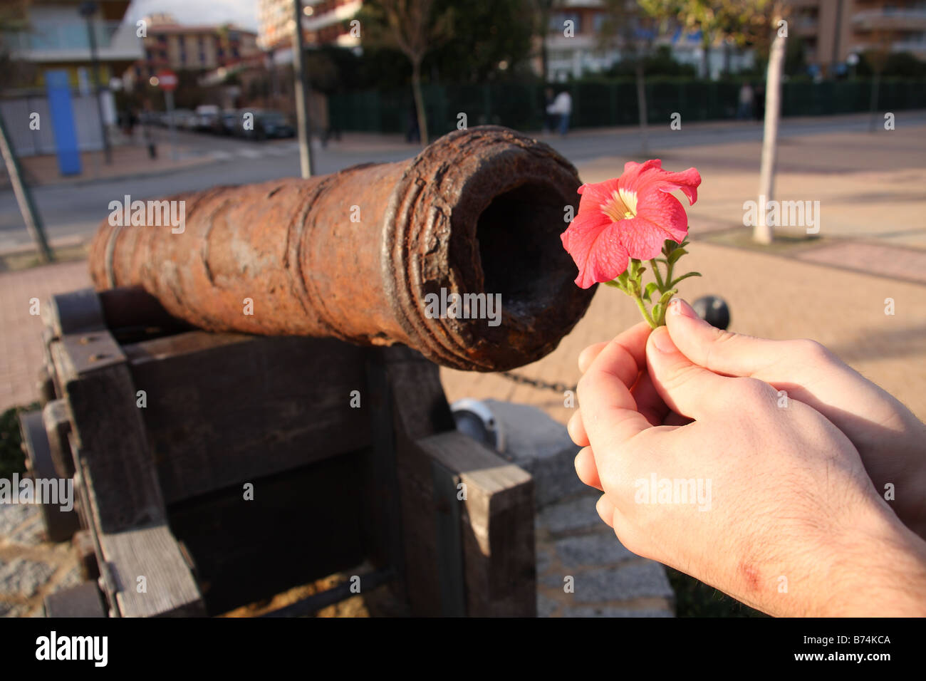 Ein Mann ist eine Blume, eine Kanone anbieten. Stockfoto