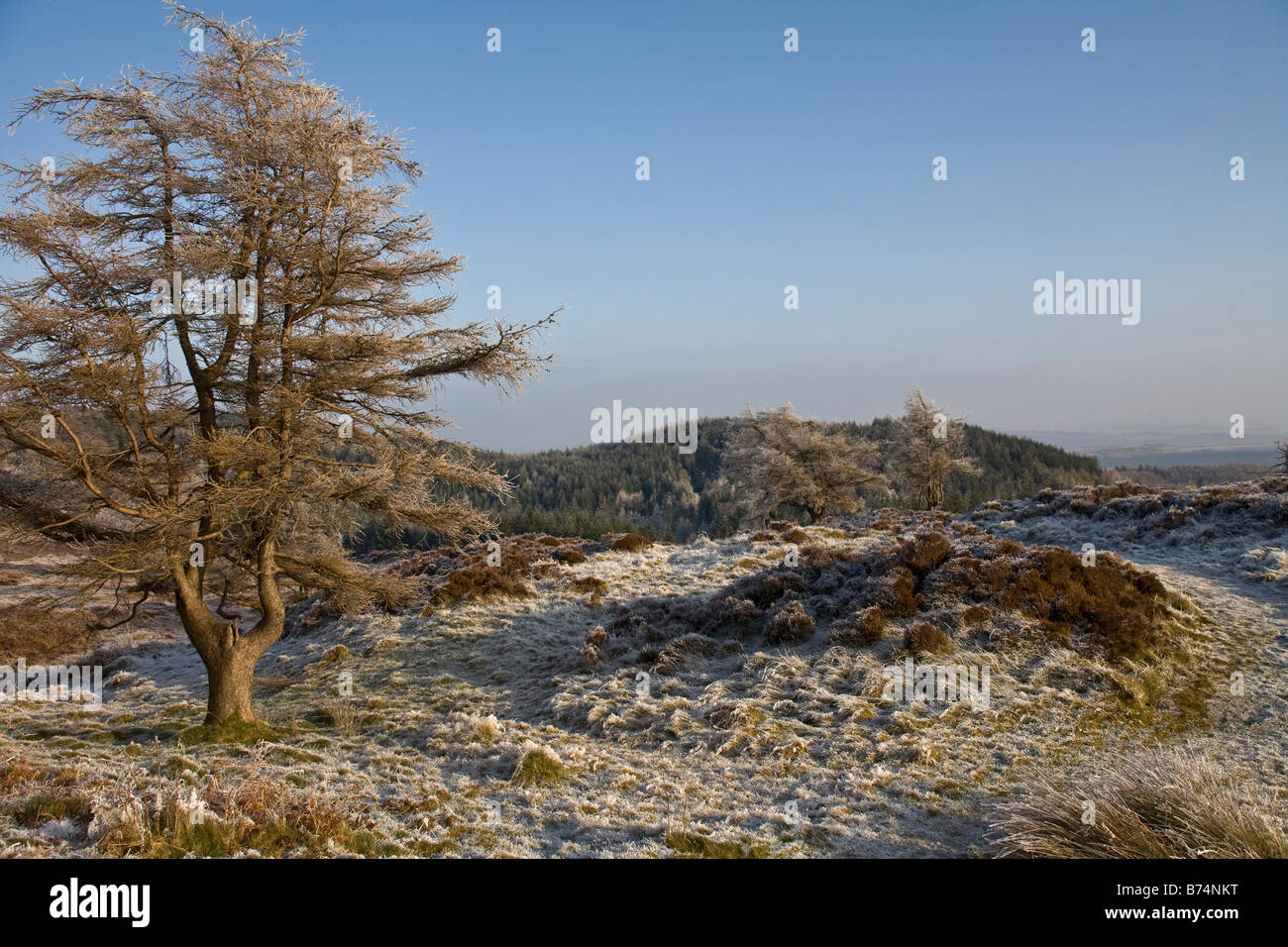 Winter-Szene im englischen Lake district Stockfoto