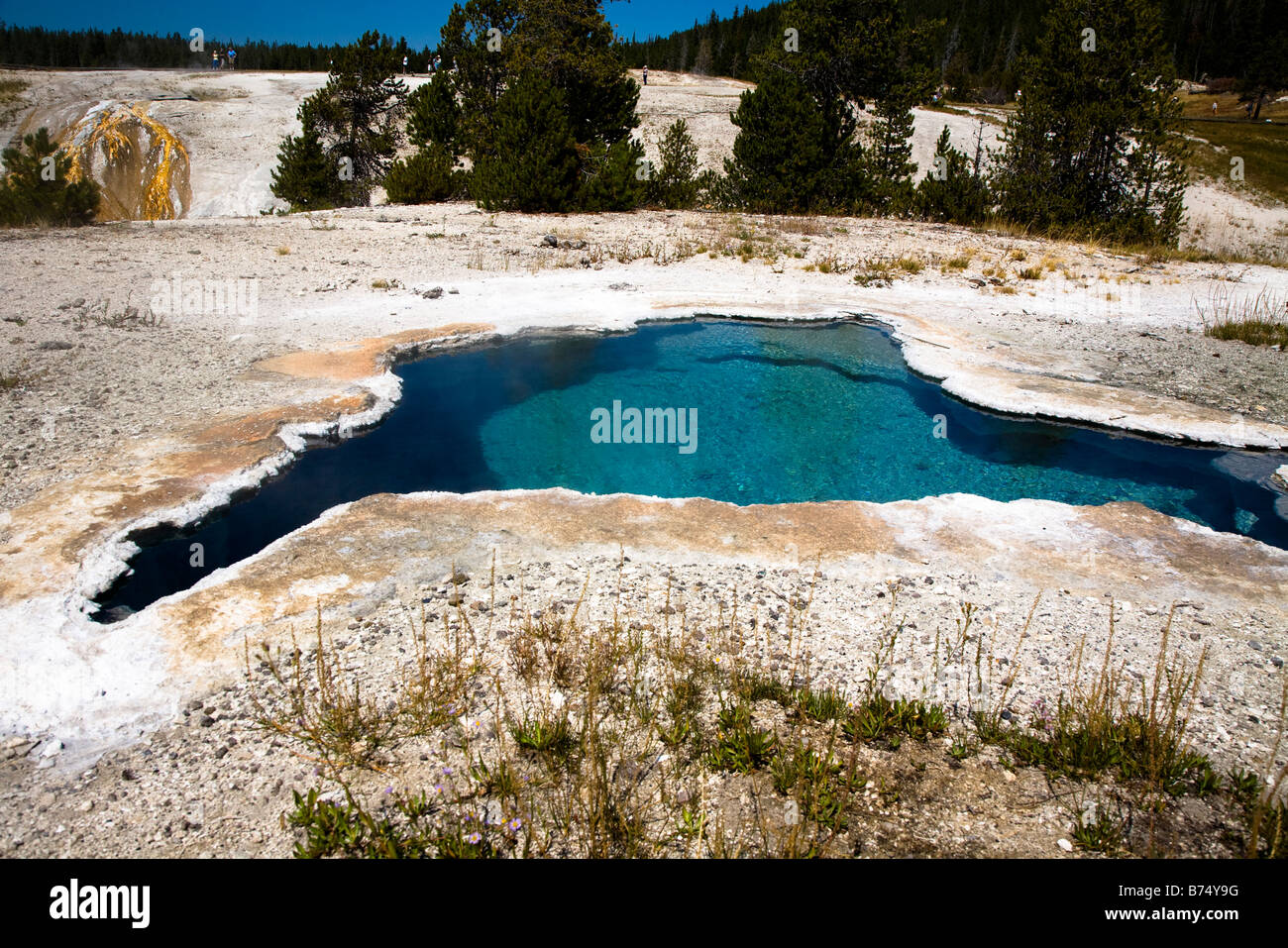 Klaren Teich mit überhängenden Kruste Rand der Thermalquelle im oberen Geysir-Becken Yellowstone-Nationalpark, Wyoming, USA Stockfoto