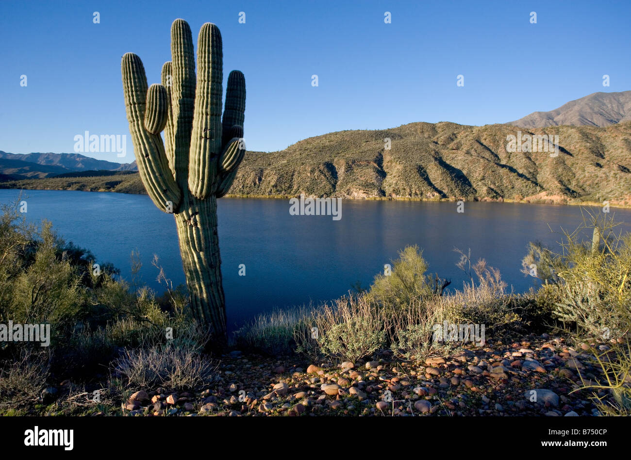 Apache-See östlich von Phoenix Arizona am Sonnenaufgang Apache See entstand, als der Salt River aufgestaut wurde Stockfoto