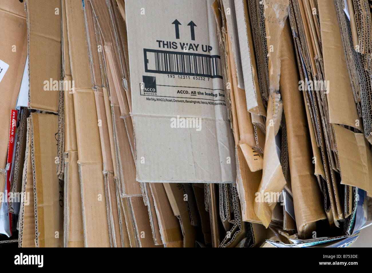Kartonverpackungen für das recycling Stockfoto