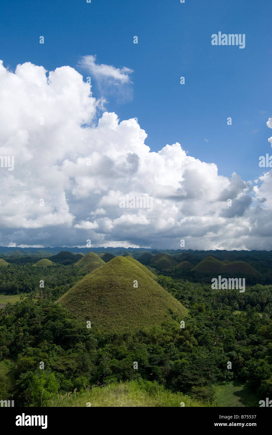 Die Chocolate Hills National Geological Monument, Carmen, Bohol, Visayas, Philippinen Stockfoto