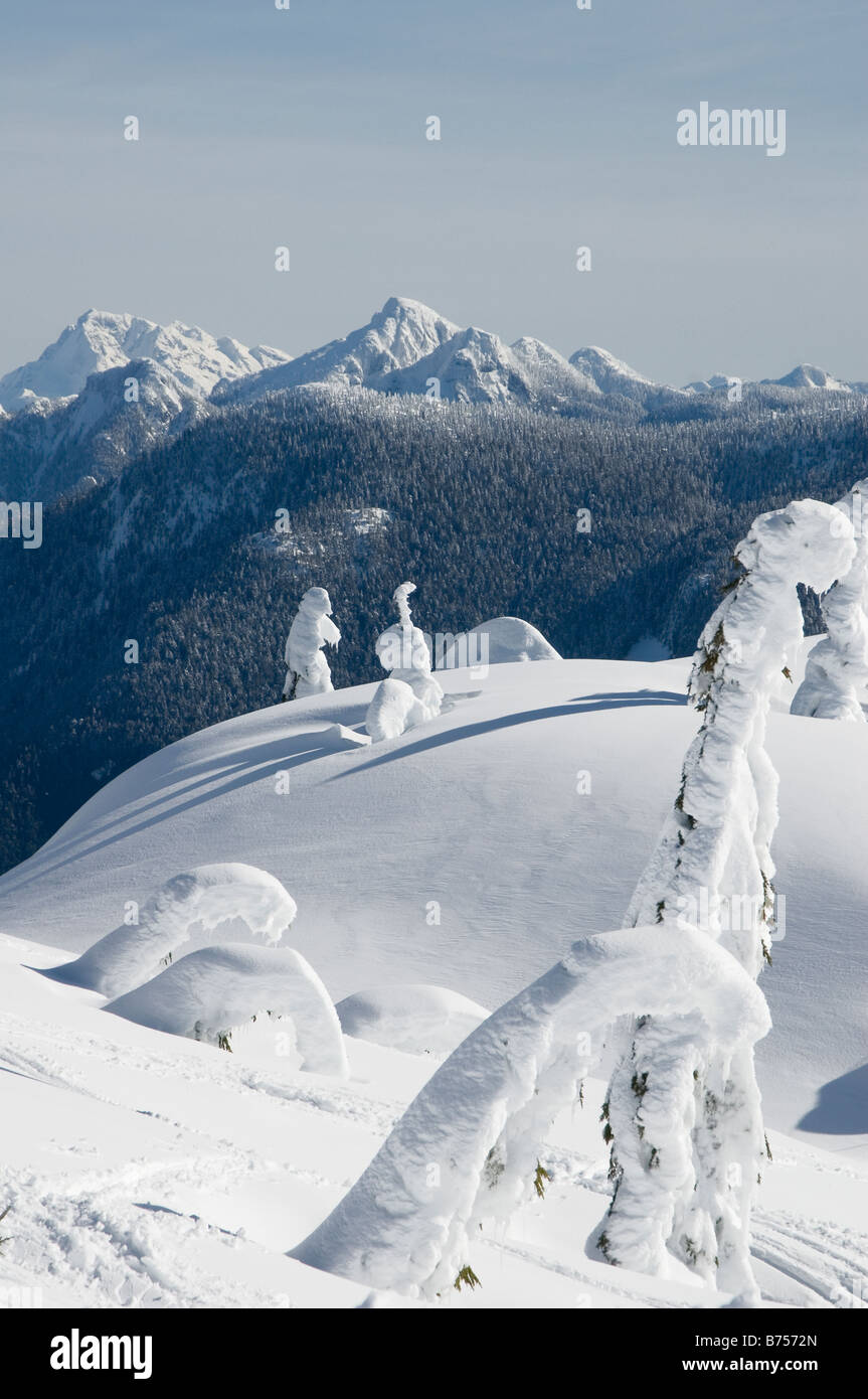 Blick vom Gipfel des Mount Seymour, Britisch-Kolumbien Stockfoto