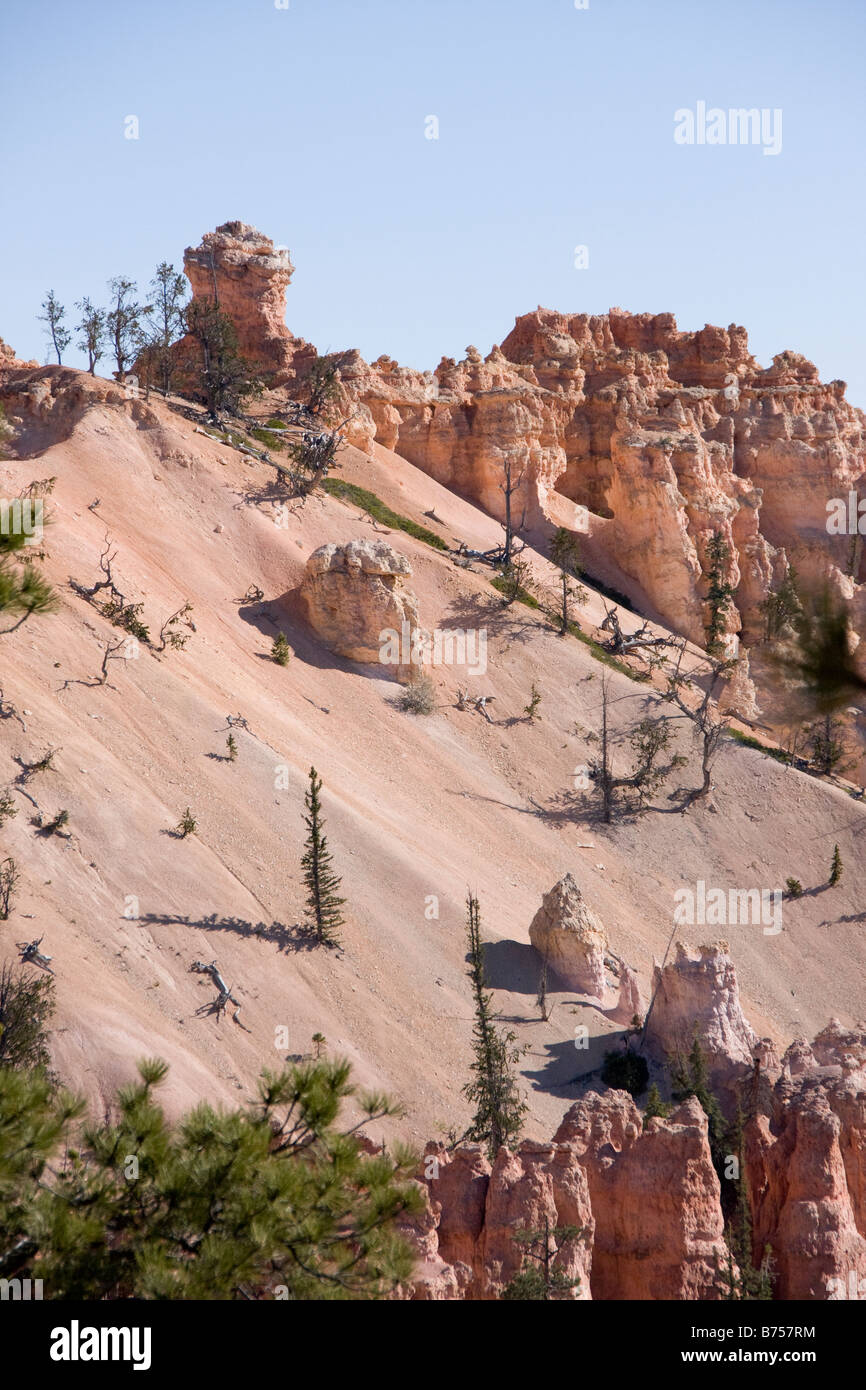 Garten Gottes Stockfoto