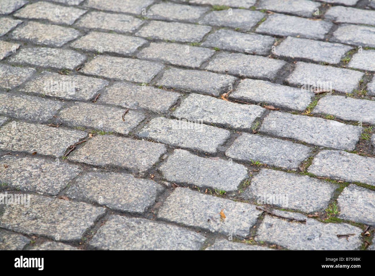 Altes Kopfsteinpflaster in einer Berln-Straße Stockfoto