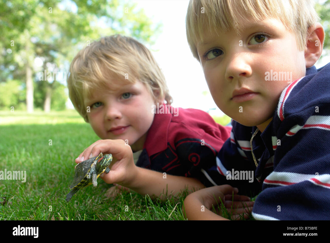 Vier bis sechs Jahre alten Brüder halten Schildkröte, Winnipeg, Kanada Stockfoto