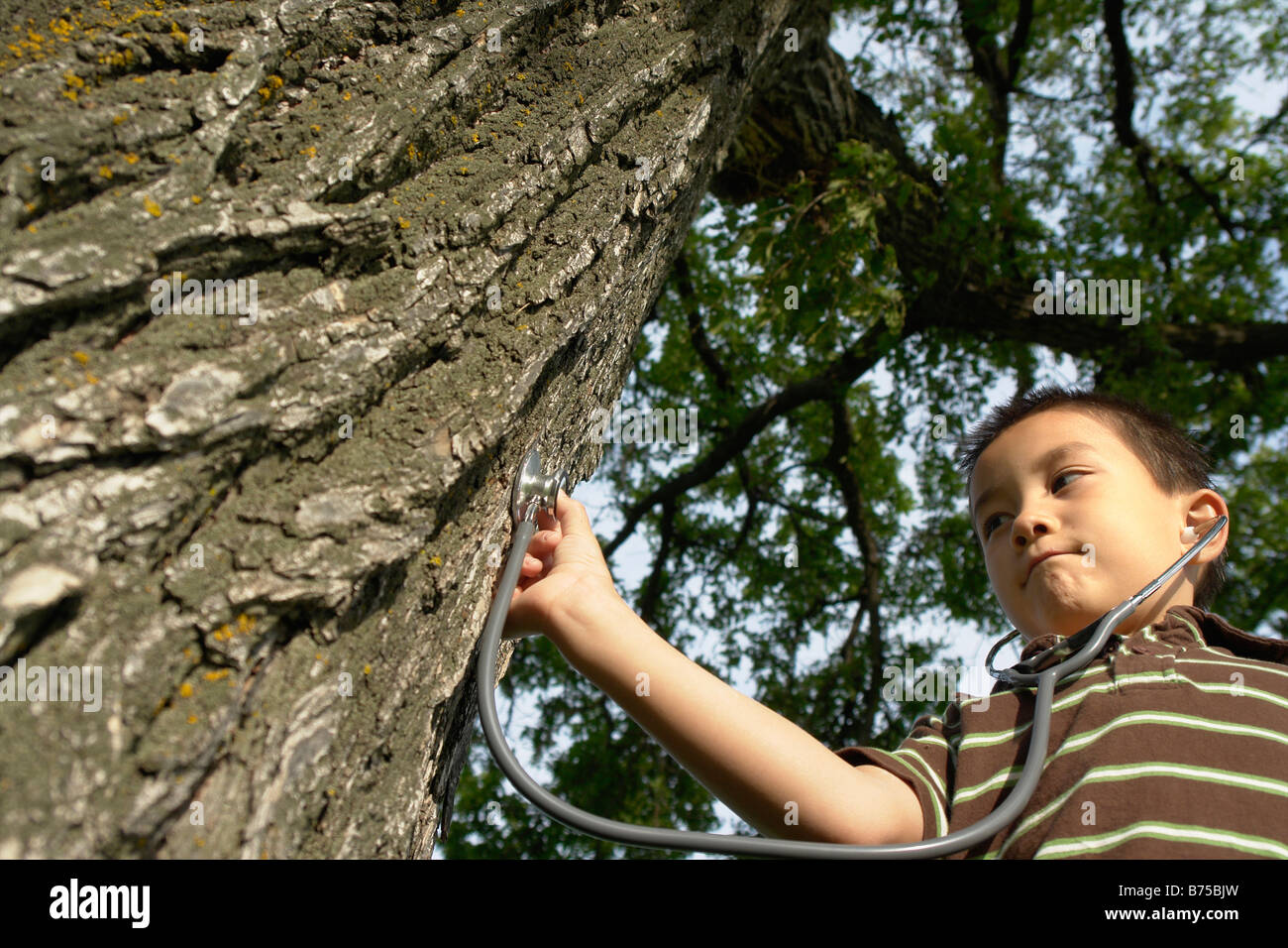Sieben Jahre alter Junge mit Stethescope platziert auf Baum, Winnipeg, Kanada Stockfoto