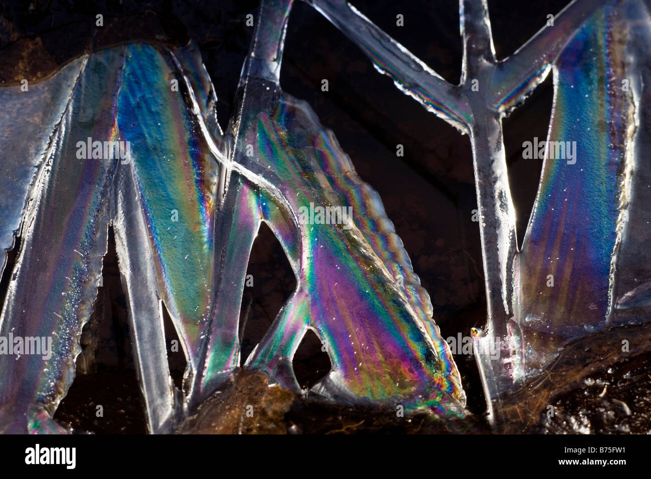 prismatischen Farben auf das Eis im Winter auf einer Pfütze Stockfoto