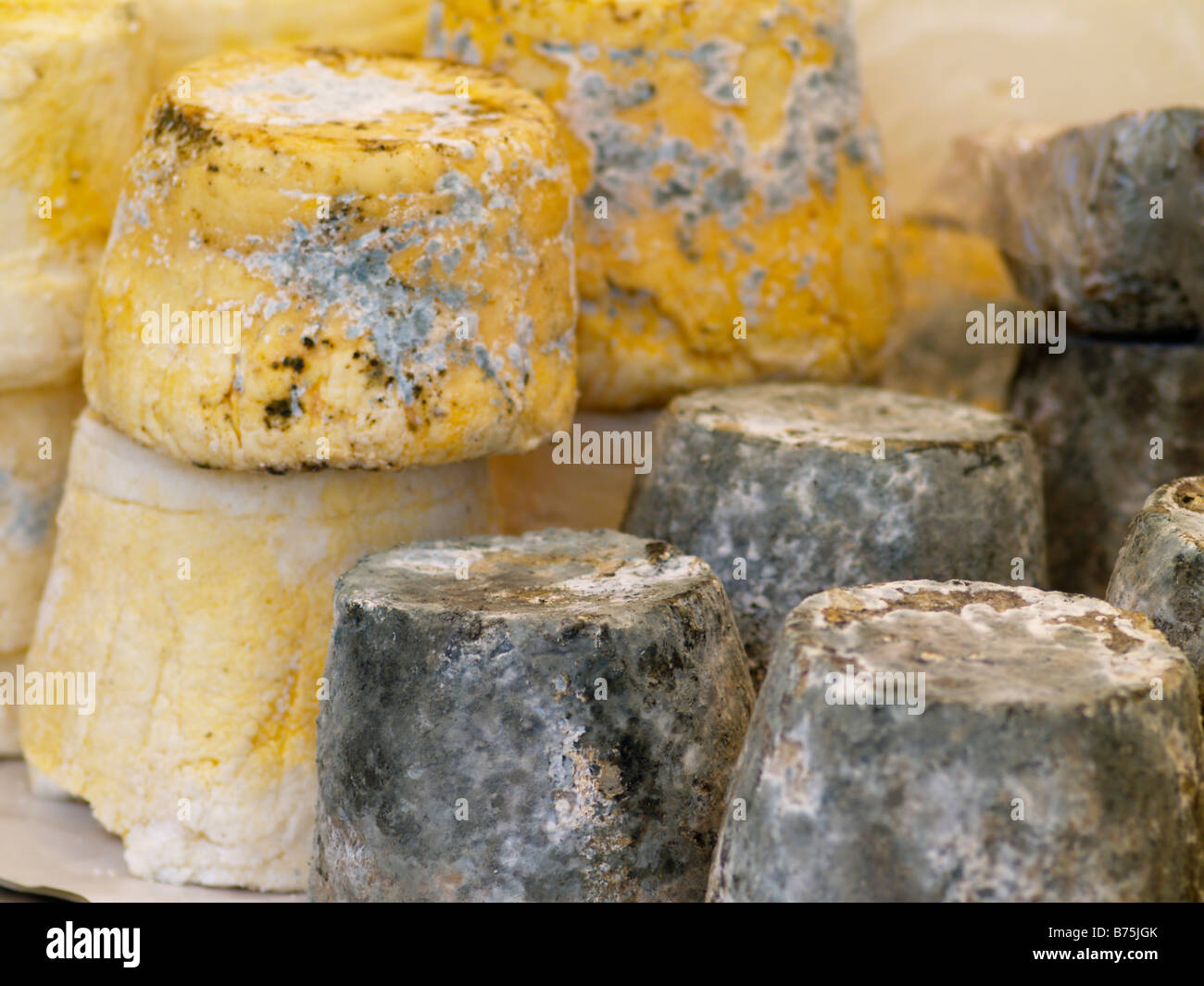 kretische Weichkäse für den Verkauf auf lokalen Bauernmarkt Stockfoto