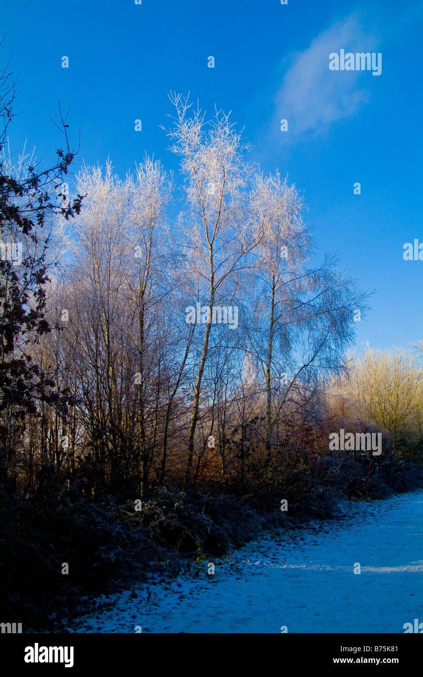 Reigate Hill, The Inglis Memorial Colley Hill und im Winter bei starken Frost. Surrey Hills, England. Stockfoto