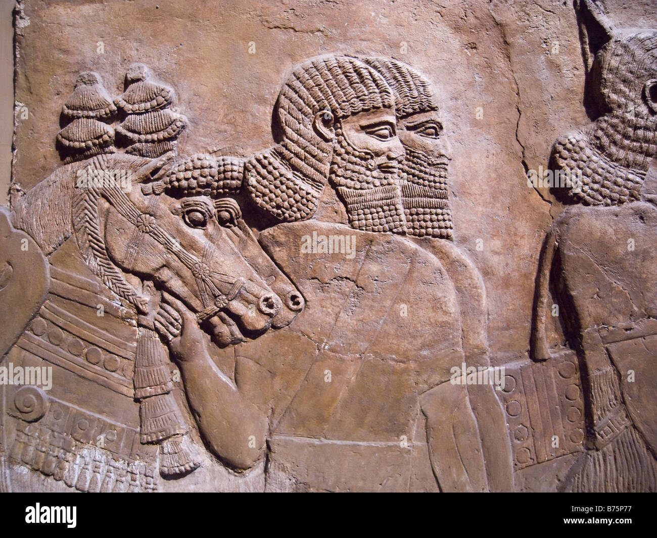Assyrische Königskariotpferde, angeführt von zwei Männern. Nimrud Zentralpalast Stockfoto