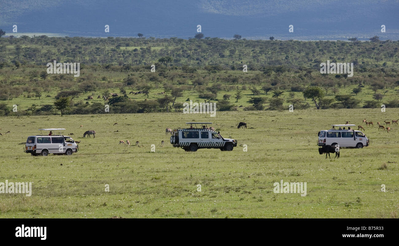 Massai Mara ist einer der größten Wildreservate in Kenia grenzt Serengeti-Nationalpark Tansania fast alle Arten von Wildtieren zu beobachten ist der Park sehr beliebt Amongs Touristen auf der ganzen Welt Stockfoto