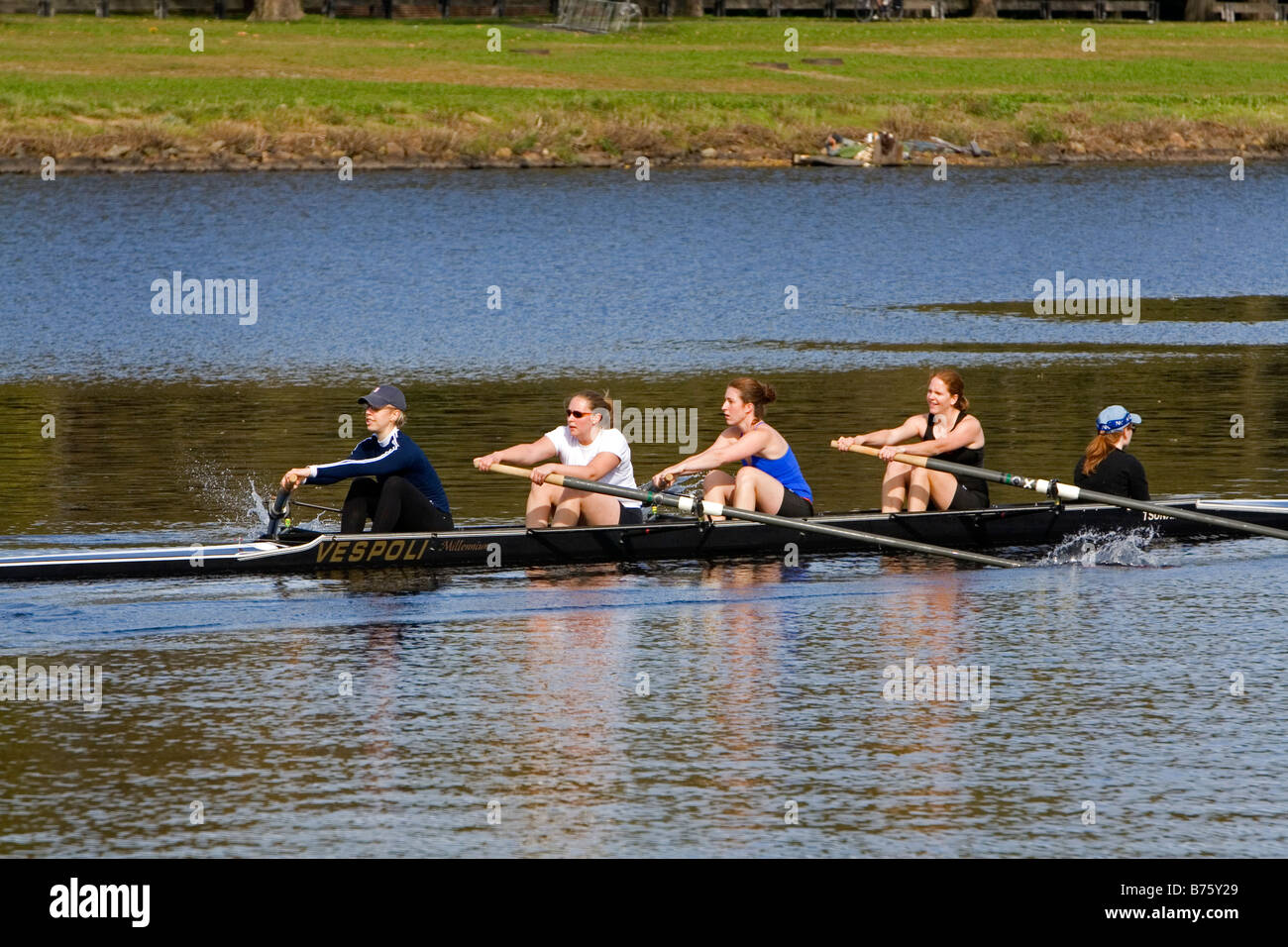 Rudern auf den Charles River in der Nähe von Harvard University in Cambridge größere Boston Massachusetts, USA Stockfoto