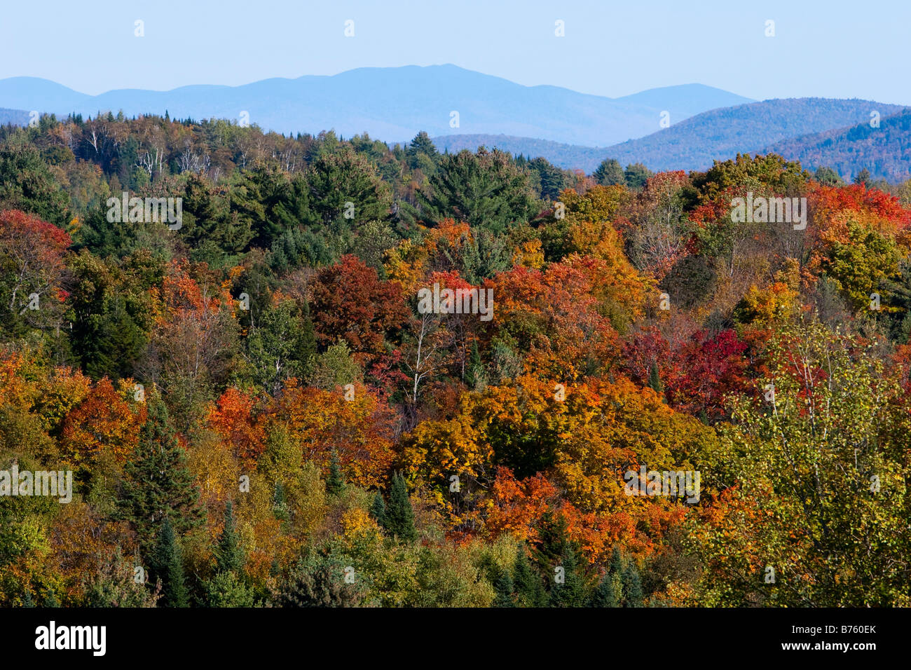 Die White Mountains in New Hampshire mit fallen Laub im Vordergrund 7. Oktober 2008 Stockfoto