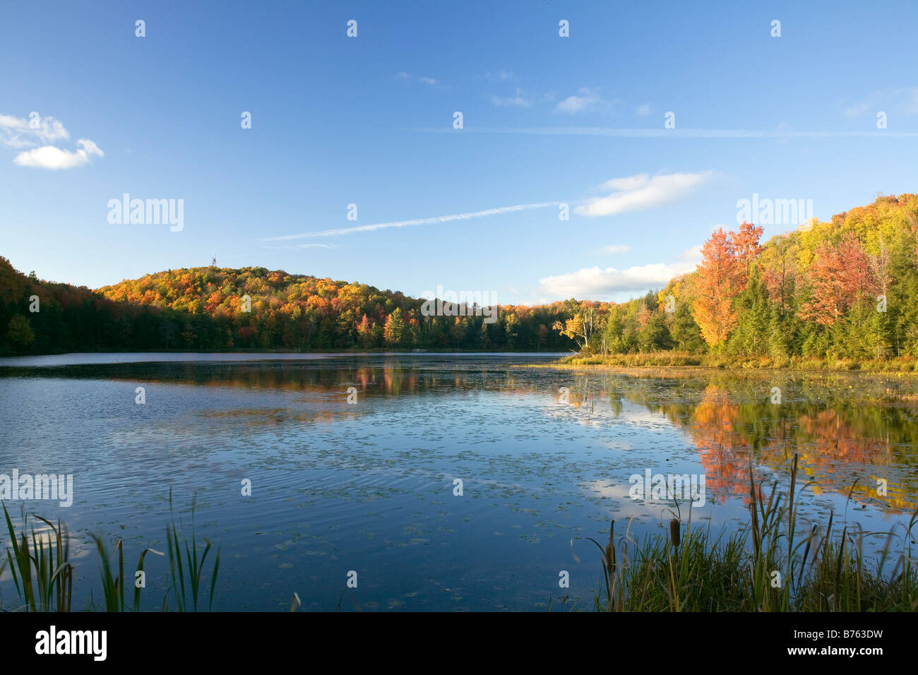 WISCONSIN - Aussichtsturm befindet sich auf dem Gipfel des Timm s Hill, Wisconsin 1951,5-Fuß-Höhepunkt von Bass Lake betrachtet. Stockfoto