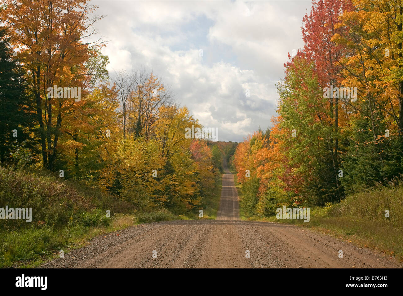 WISCONSIN - Herbst-Blick auf einem Waldweg am westlichen Ende des Penokee Bereichs im Chequamegon Nicolet National Forest. Stockfoto