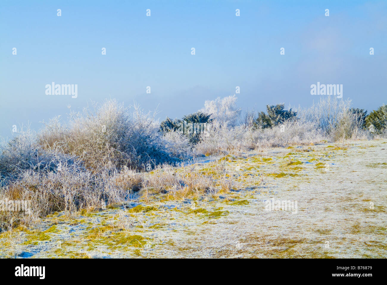 Reigate Hill, The Inglis Memorial Colley Hill und im Winter bei starken Frost. Surrey Hills, England. Stockfoto