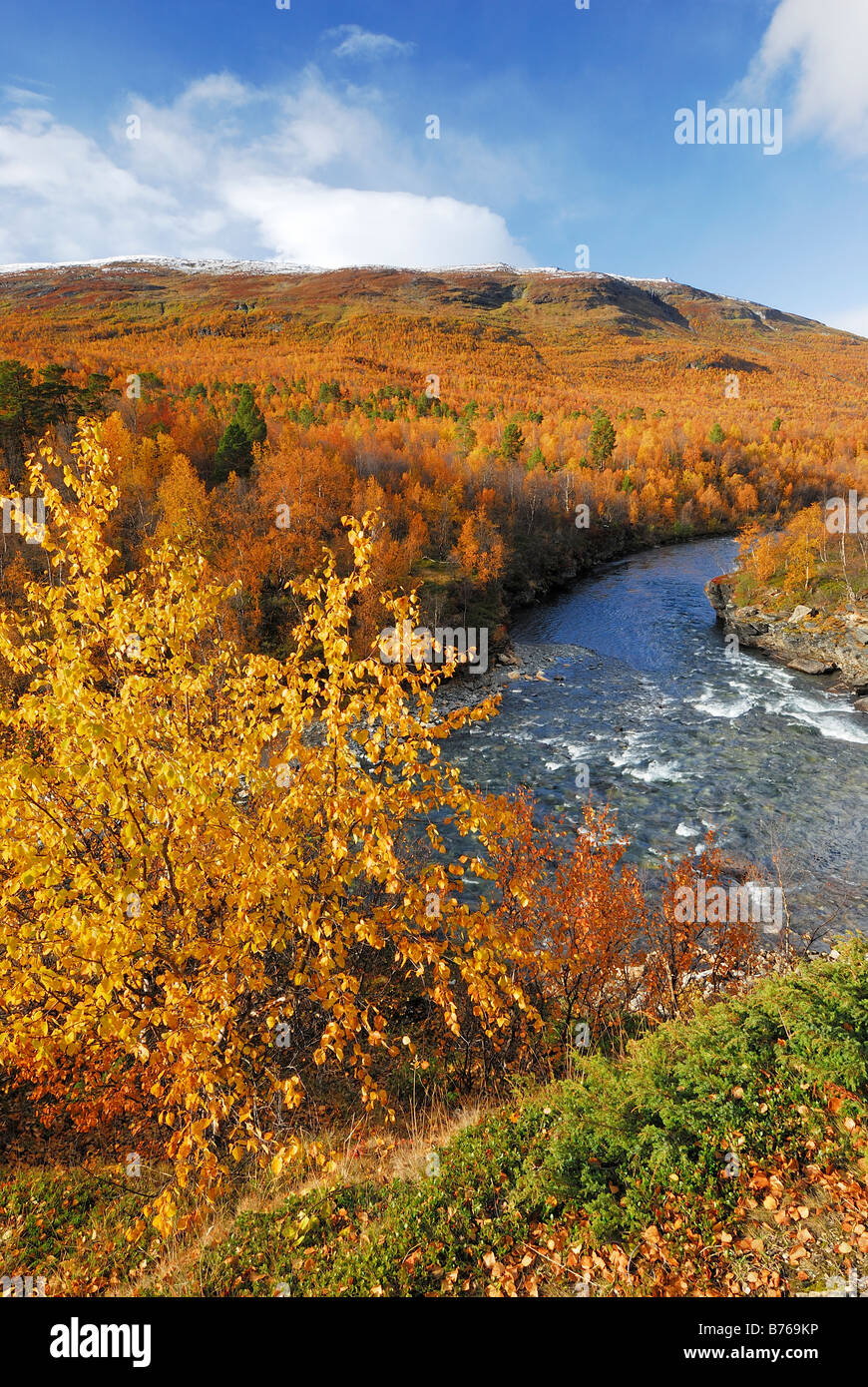 Fluss Njulla Berg Abisko Canyon Herbstfarben Landschaft Abisko Nationalpark Norrbotten Lappland Schweden Europa Stockfoto