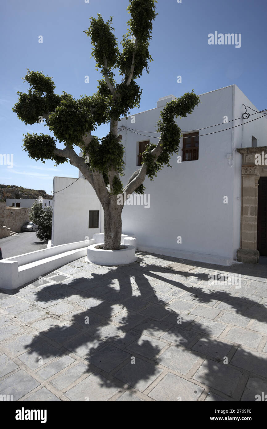 Weißes Haus und Baum in Lindos Rhodos Griechenland Stockfoto