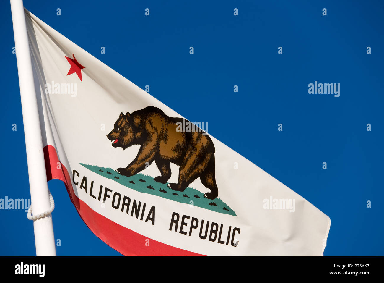 Kalifornische Flagge oder Golden State Flag, mit dem Wort "California Republic" unter dem Stern und Bär Stockfoto