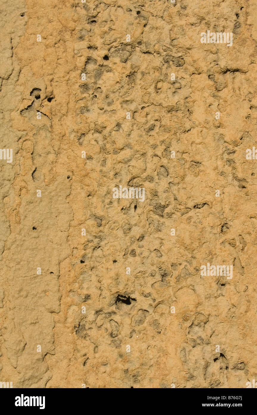 Magnetic Termite (Amitermes Meridionalis & A. Laurensis) Oberfläche der Hügel nördlich von Lichfield Nationalpark Northern Territory Australien Stockfoto