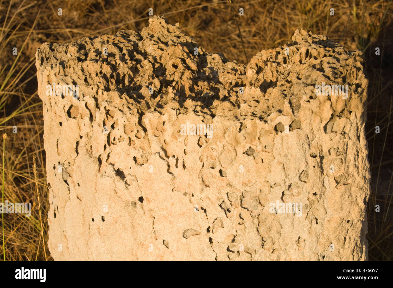 Magnetic Termite (Amitermes Meridionalis & A. Laurensis) Hügel verwüstet nördlich von Lichfield Nationalpark Northern Territory Australien Stockfoto