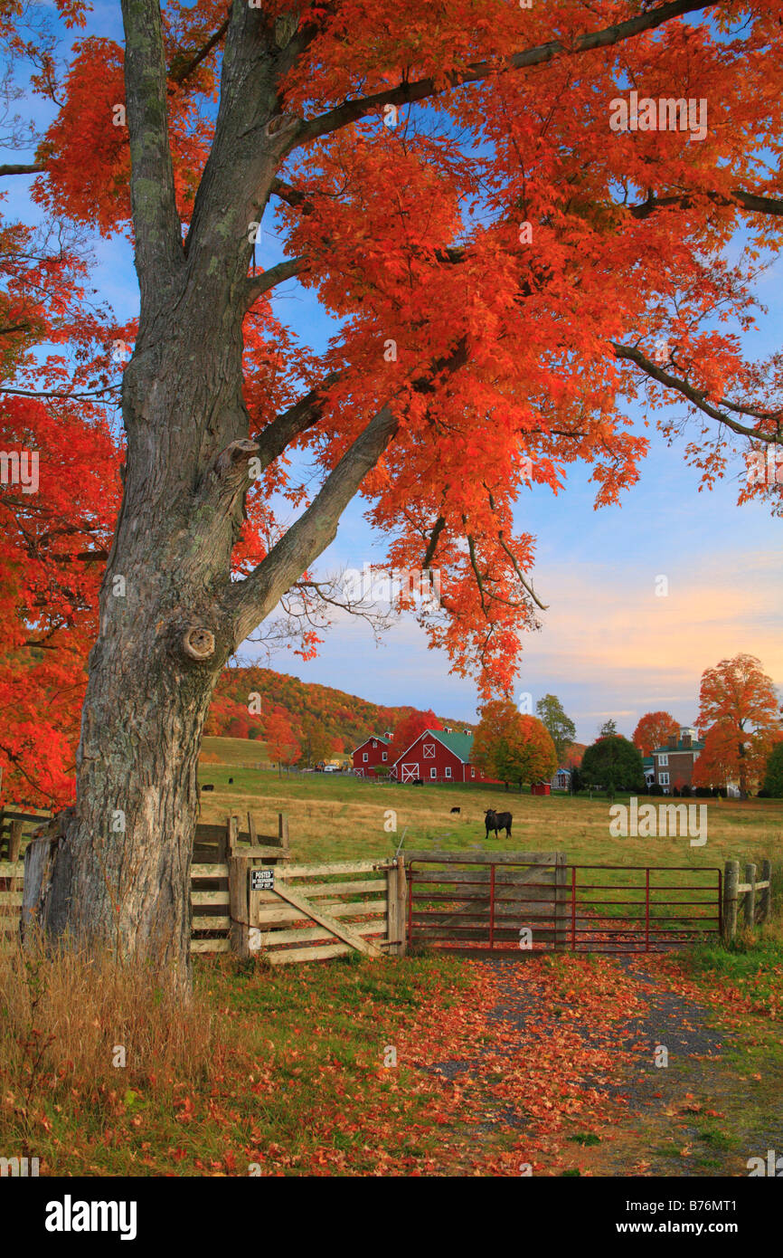 Dawn, Western Highland County, Virginia, USA Stockfoto