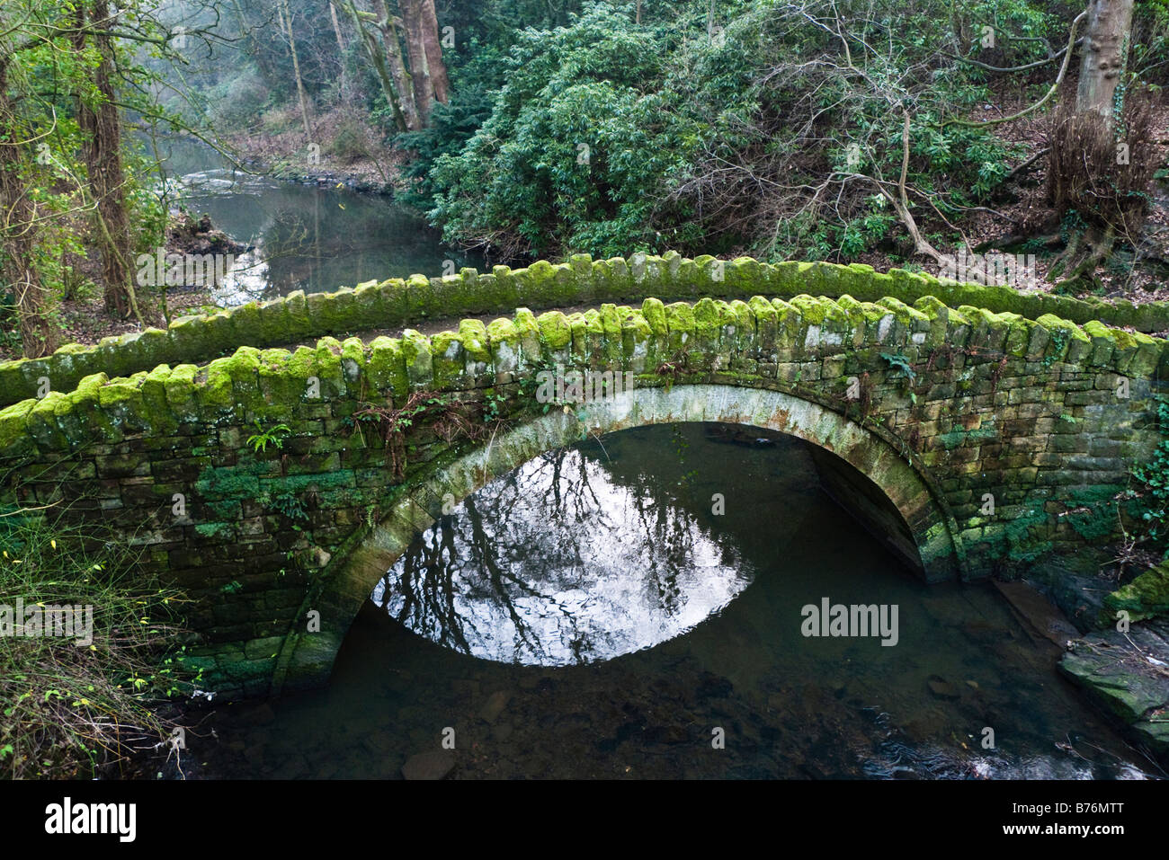 Kleinen Stein Fußgängerbrücke über den Fluss Ouseburn Jesmond Dene Newcastle upon Tyne UK Stockfoto