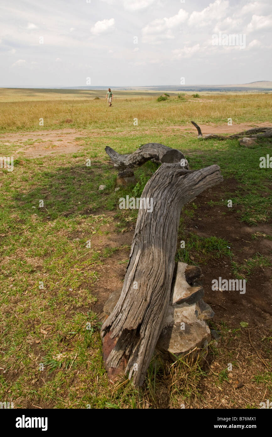 Mann, der durch leere Landschaften geht, Masai Mara Game Park Kenia Afrika Stockfoto