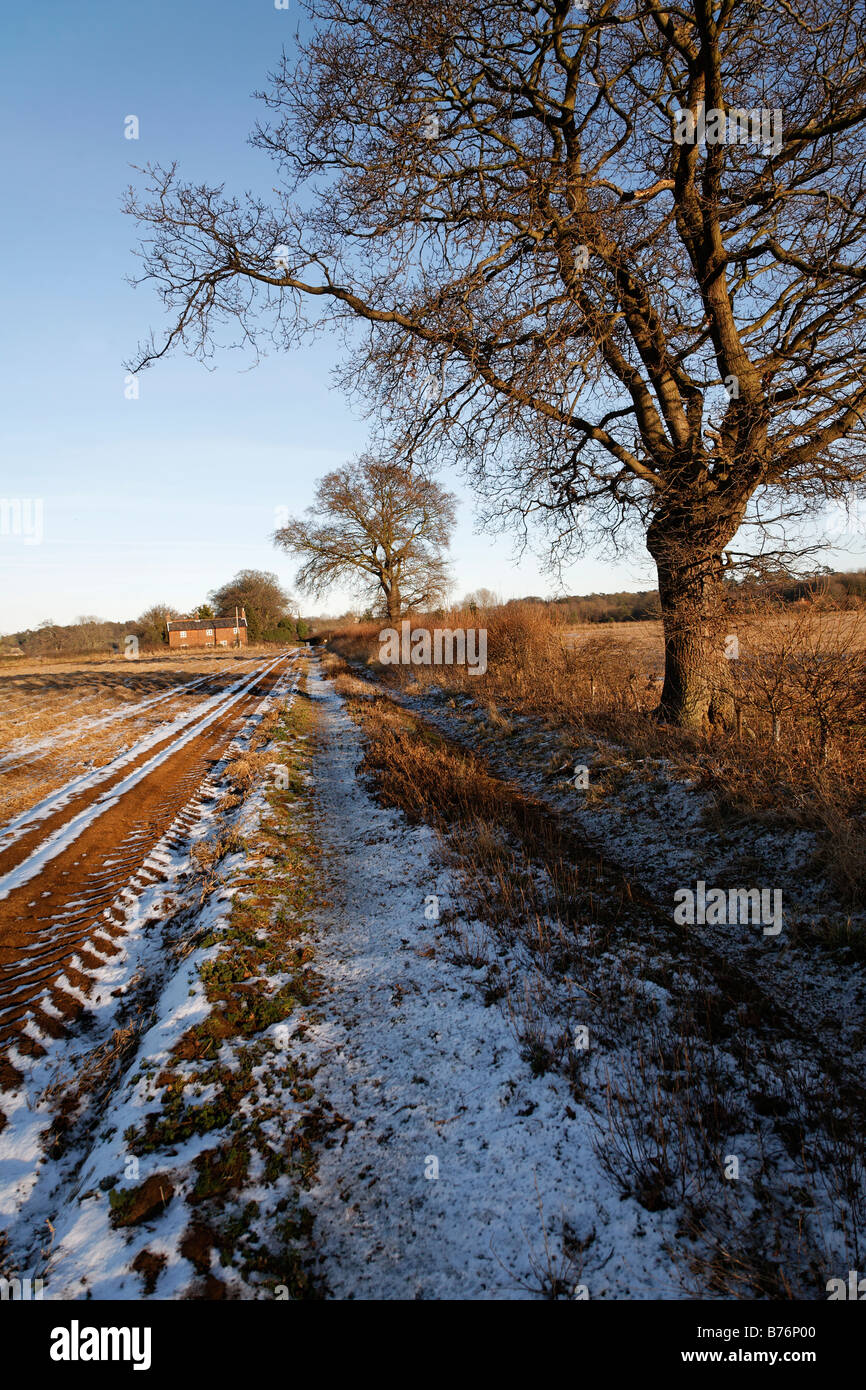 Winterliche Landschaft mit Haus und Eichen Januar 2009 Sutton Suffolk England Stockfoto