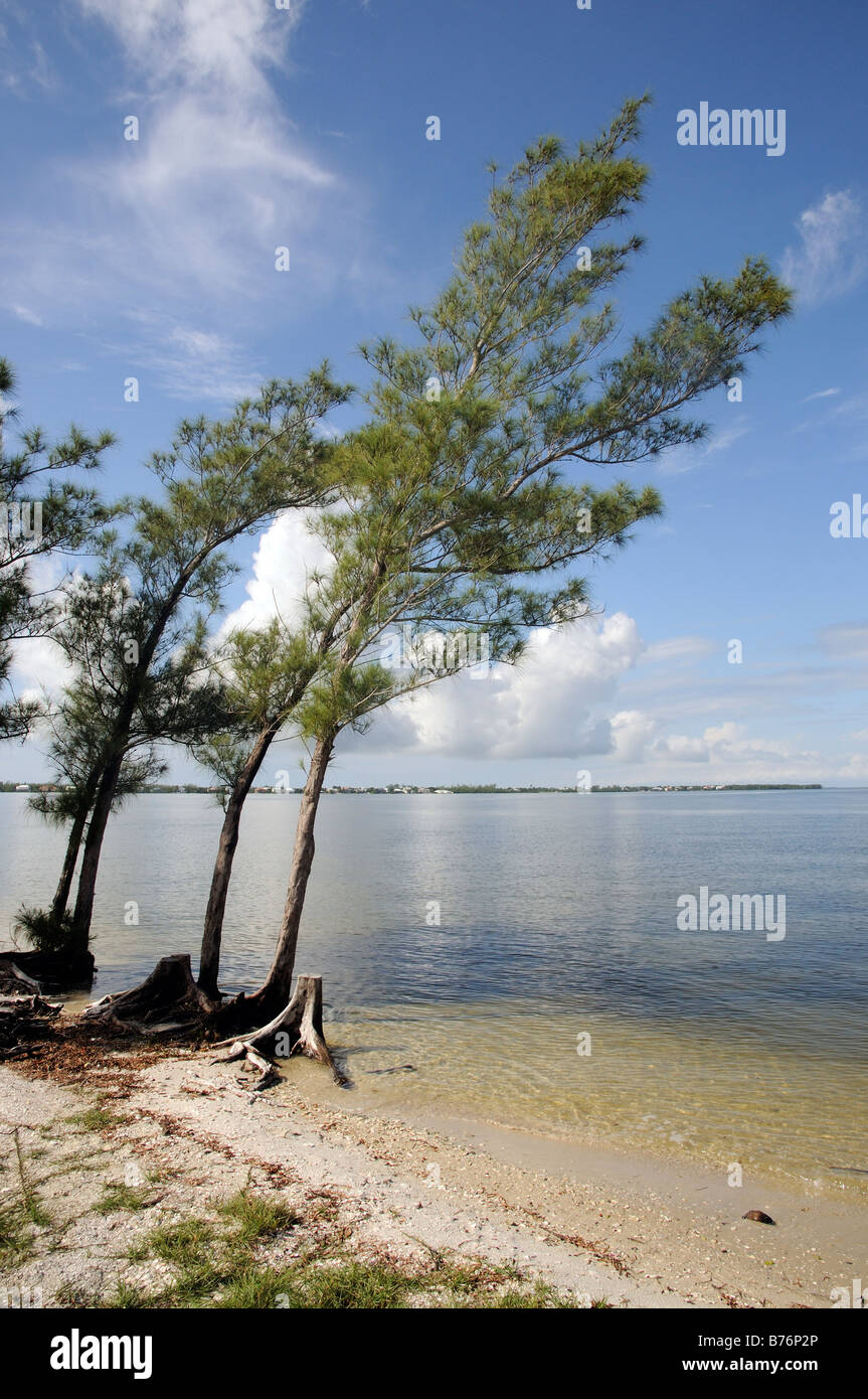 San Carlos Bay auf Gulf Coast Intracoastal Wasser-Strasse in der Nähe von Sanibel Island Florida USA Stockfoto