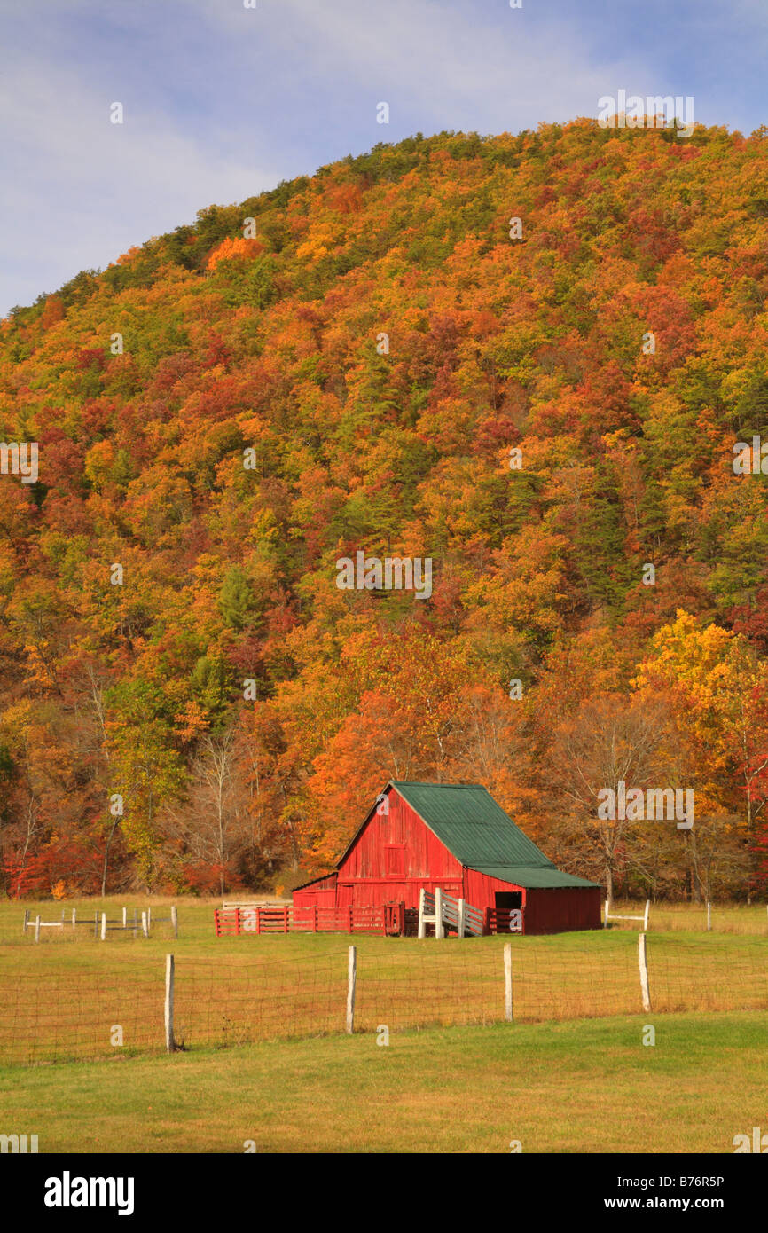 West Highland County, Virginia, USA Stockfoto